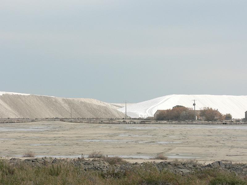 2008_12_Camargue_07 Aigues Mortes_24.jpg